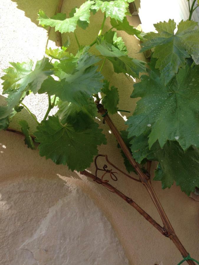 Bed and Breakfast Casa 28 Canosa di Puglia Exterior foto